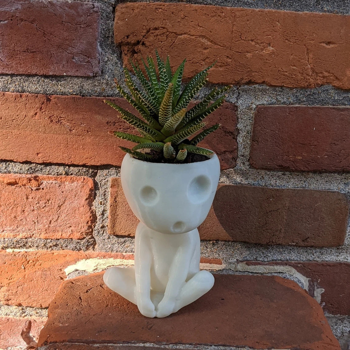 Nightglow Succulent Flowerpot