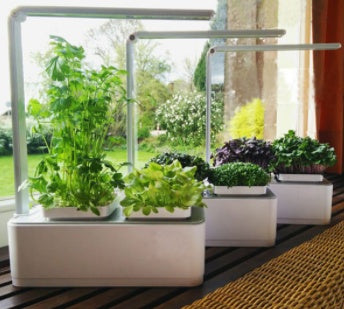 Hydroponic Planting Box