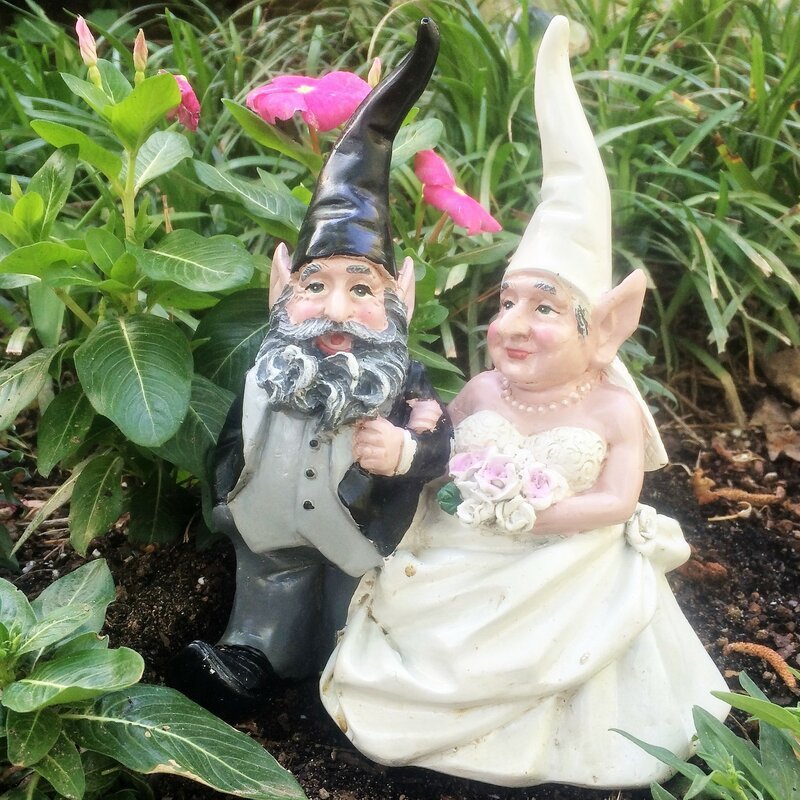 Naughty Gnomes