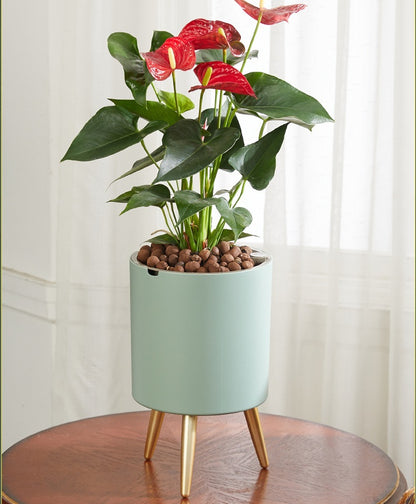 Water Level Indicator Floor-standing Flower Pot