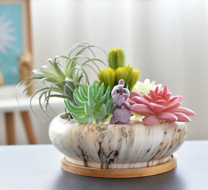 Succulent Flower Pot With Bamboo Tray