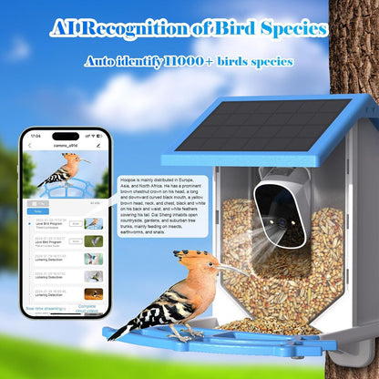 Smart Bird Feeder With Camera