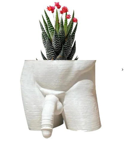 Penis Flower Pot