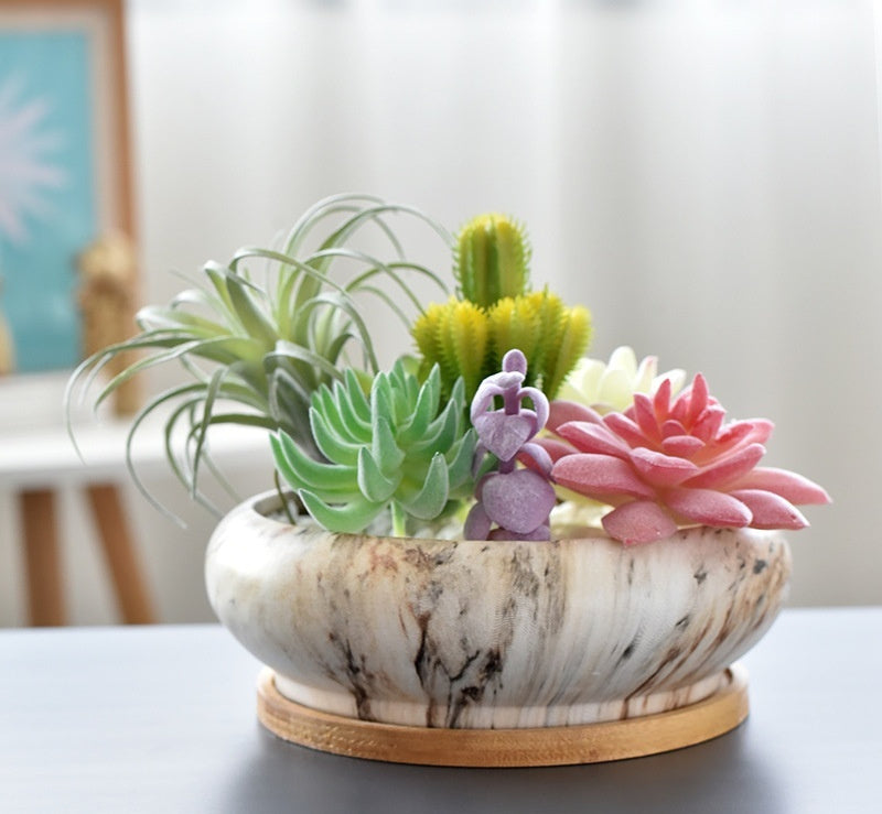 Succulent Flower Pot With Bamboo Tray