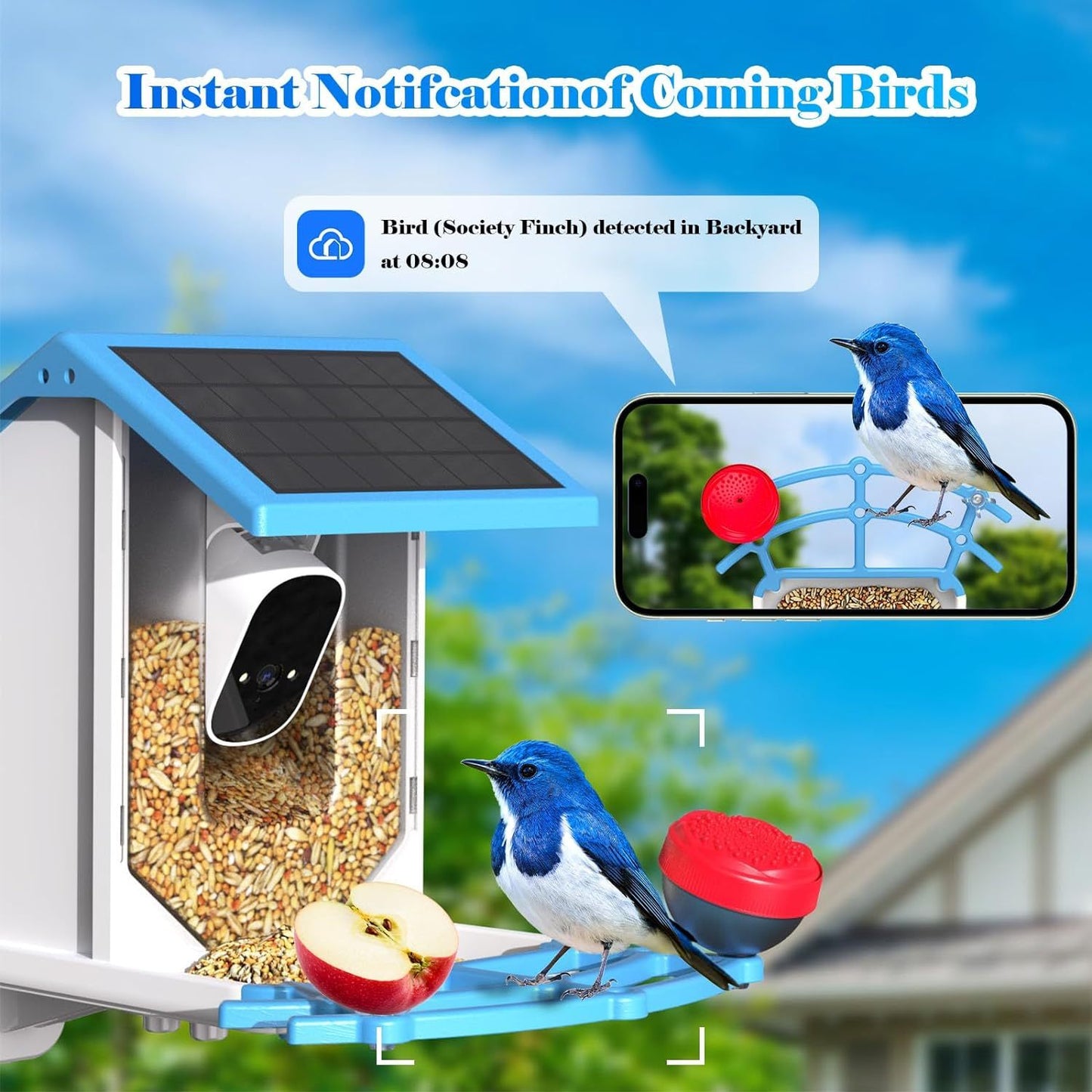 Smart Bird Feeder With Camera