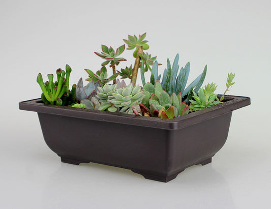 Recycled Plastic Flower Pot