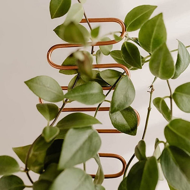 Garden Plant Climbing Support