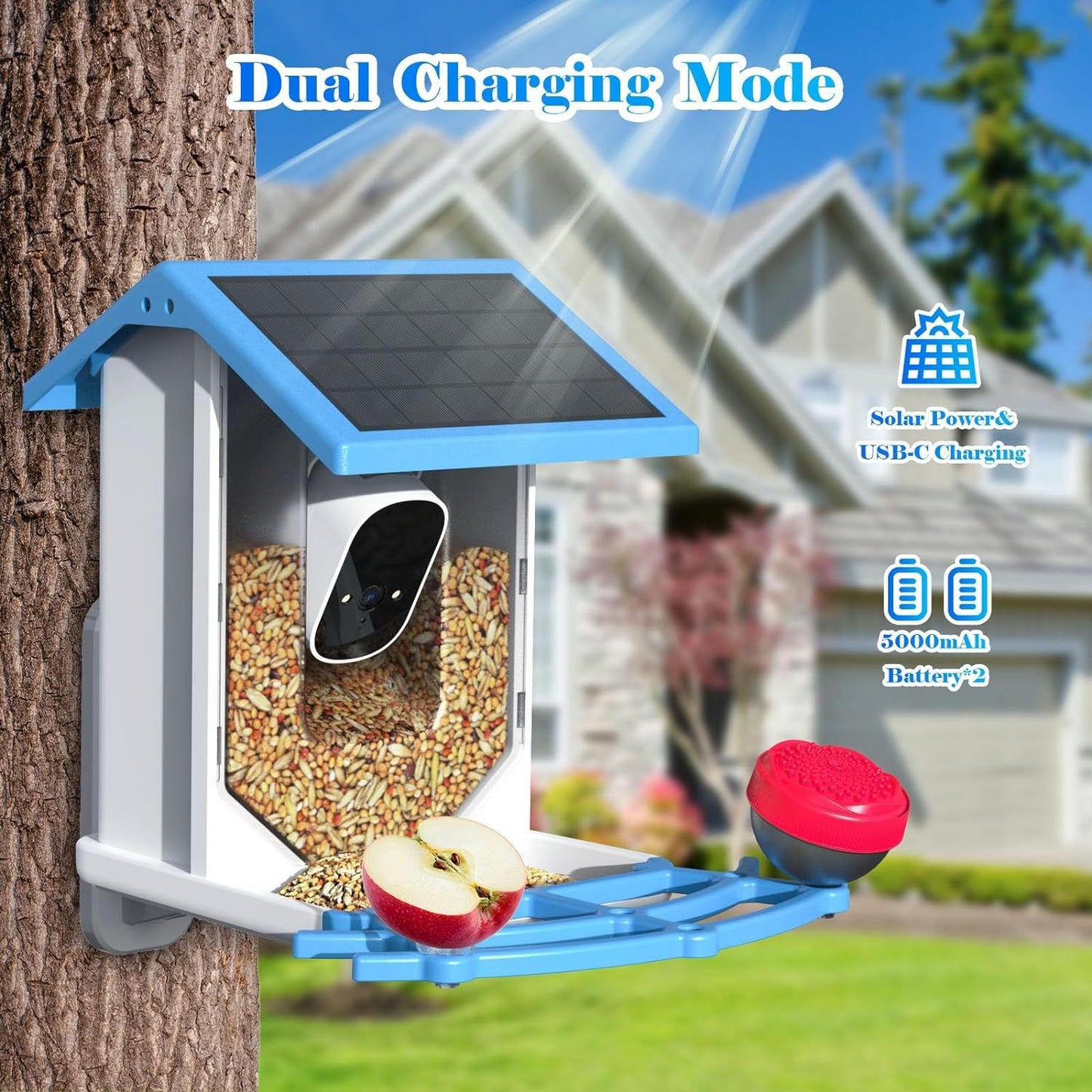 Smart Bird Feeder With Camera