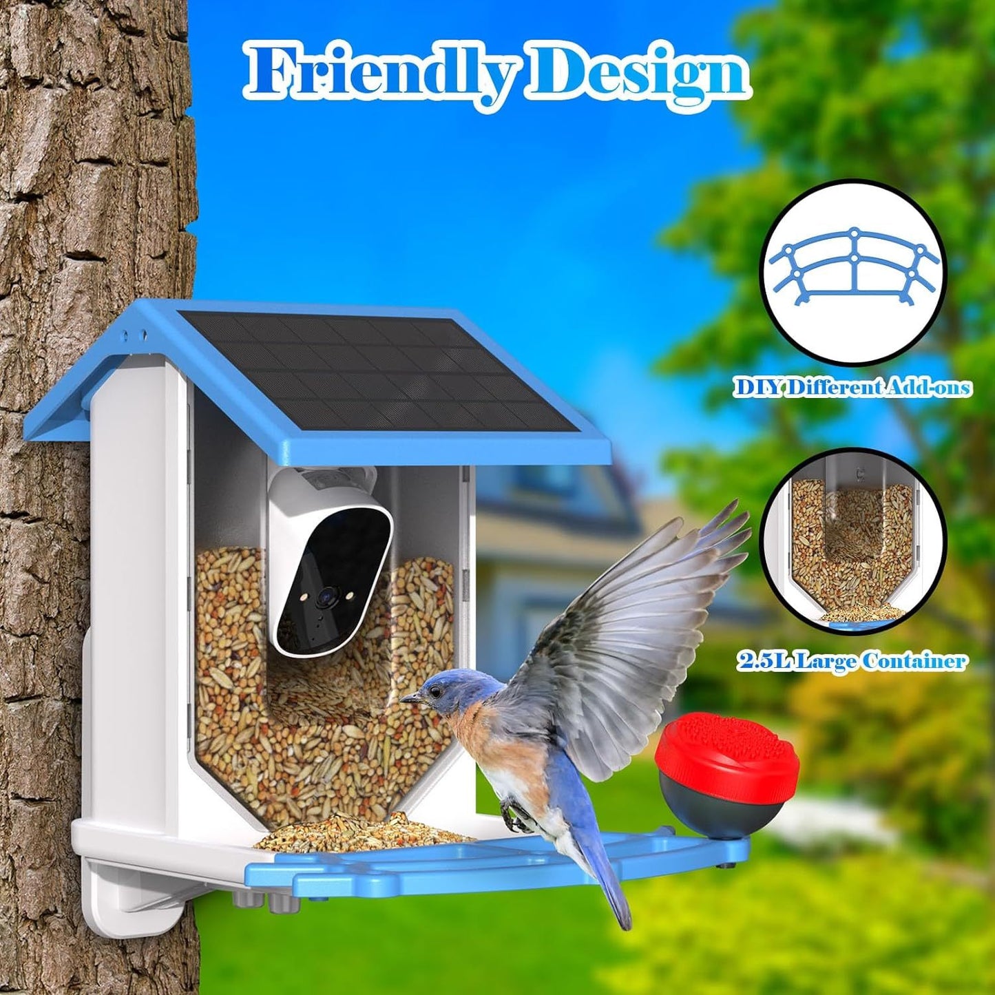 Smart Bird Feeder With Camera