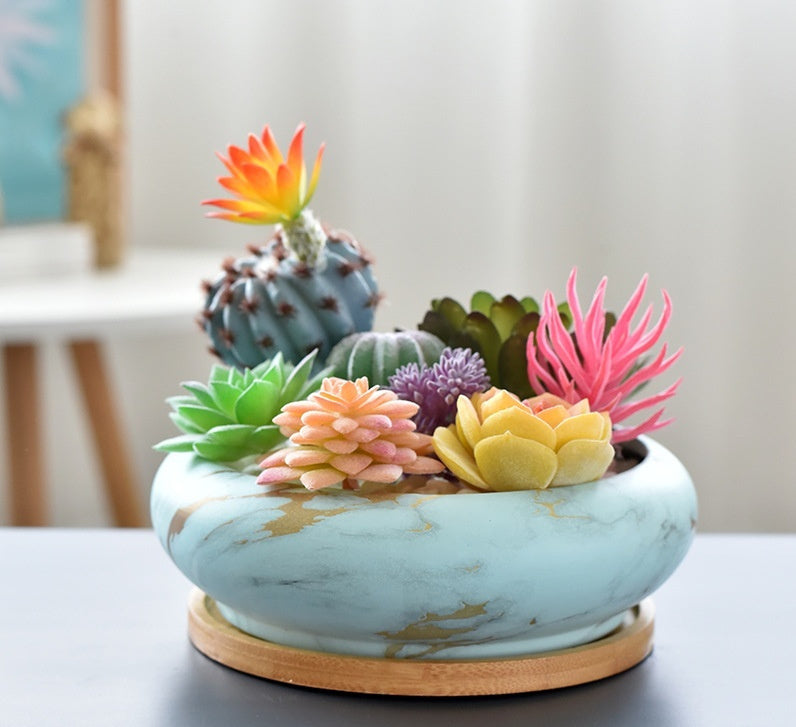 Succulent Flower Pot With Bamboo Tray