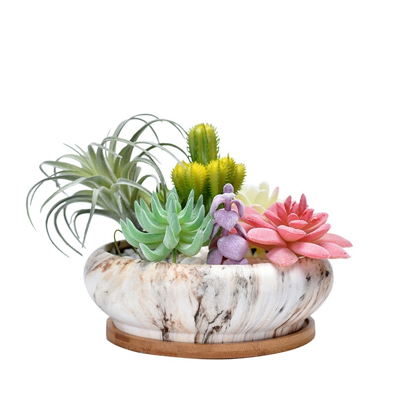 Succulent Flower Pot With Bamboo Tray