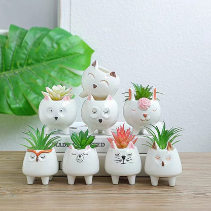 Animal Succulent Pot