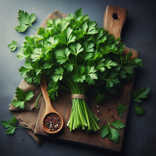 Italian Parsley Seeds