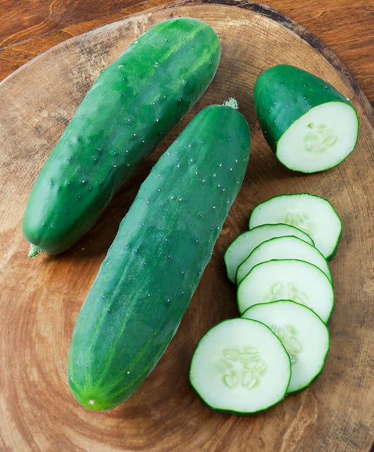 Straight Eight Cucumber Seeds