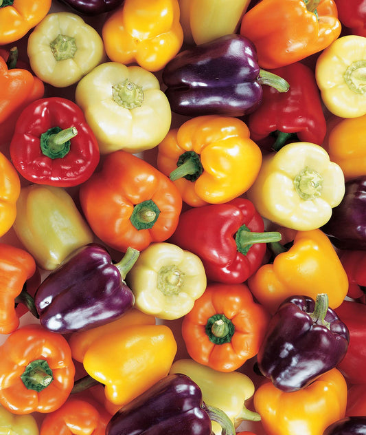 Sweet Grand Bell Pepper Mix Seeds