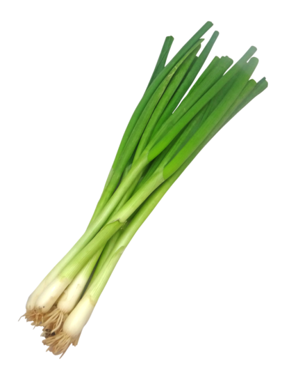 White Lisbon Bunching Onion Seeds